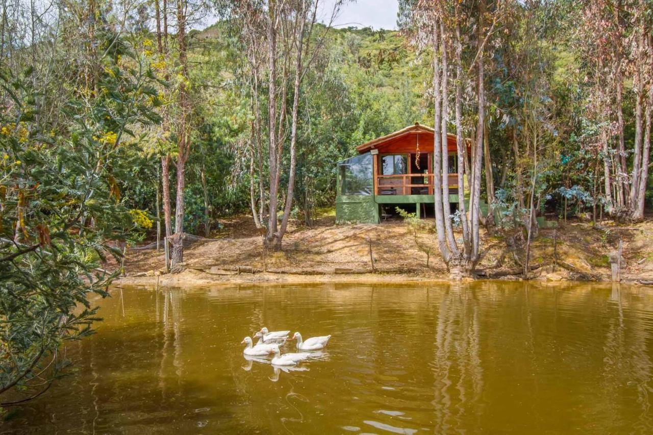 Cabana Tipo Glamping Savieza Life Experience Nemocon Eksteriør bilde